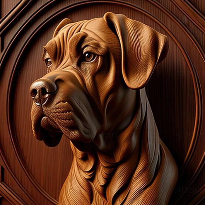 Great Dane of Bordeaux dog